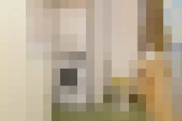 Julialaantje 7 Rijswijk thumbnail 24