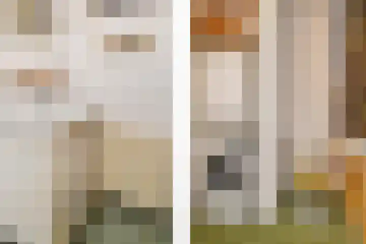 Julialaantje 7 Rijswijk thumbnail 25