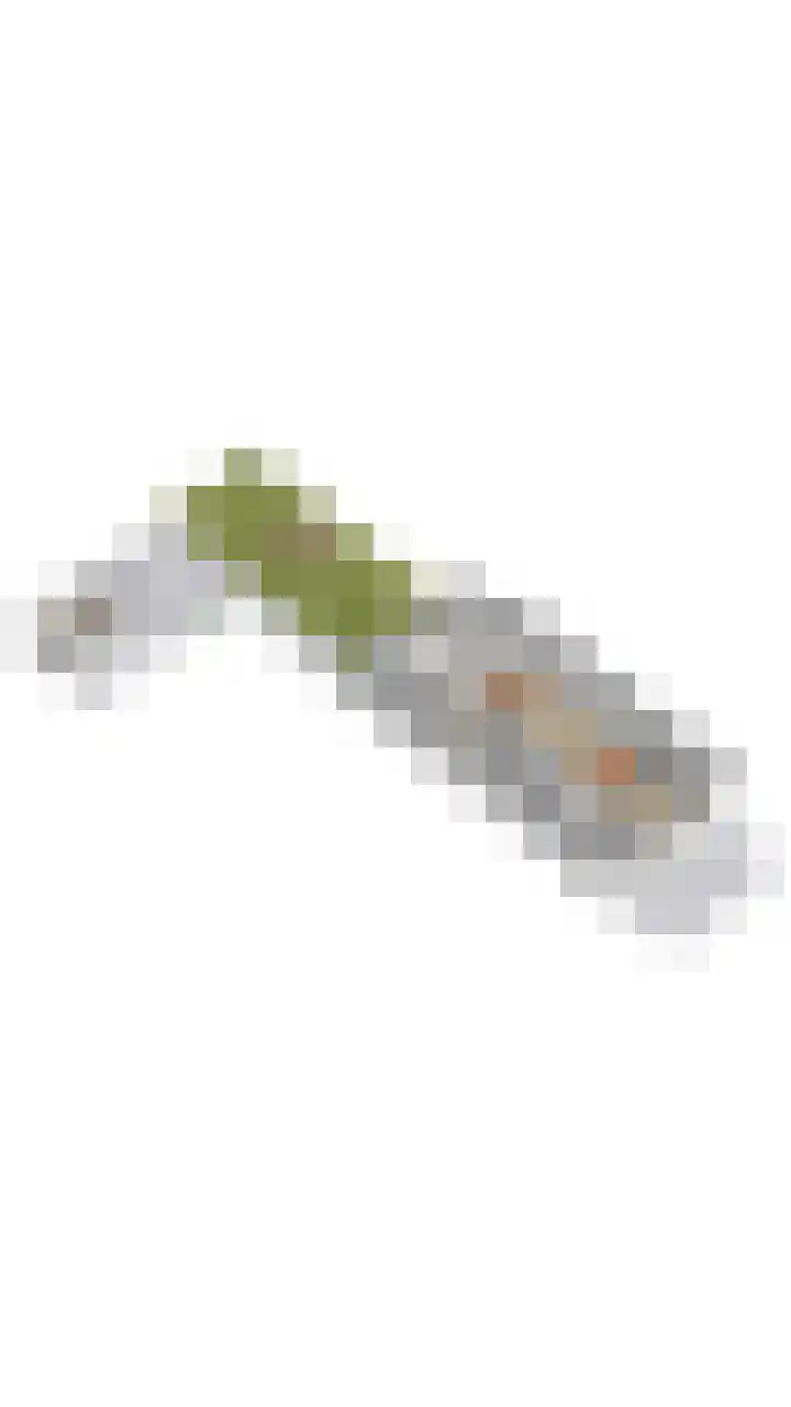 Julialaantje 7 Rijswijk thumbnail 27