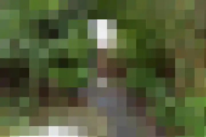 Julialaantje 7 Rijswijk thumbnail 29