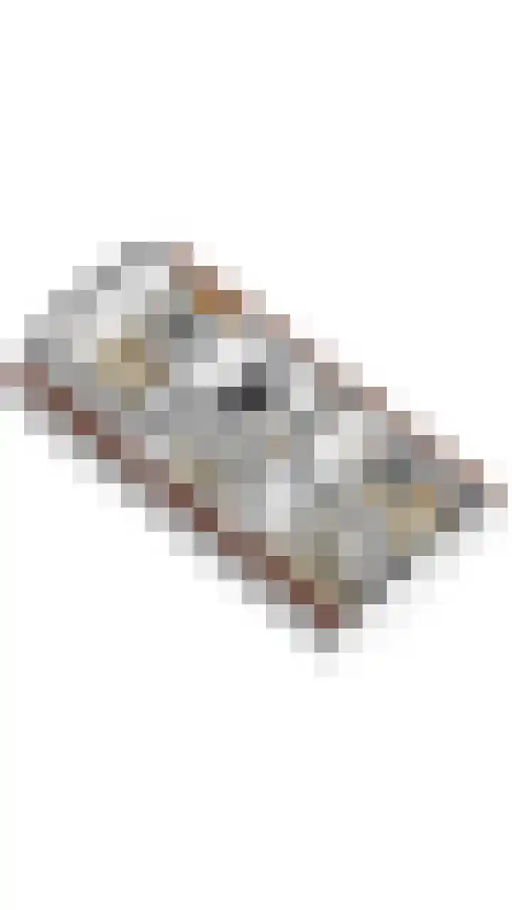Julialaantje 7 Rijswijk thumbnail 32