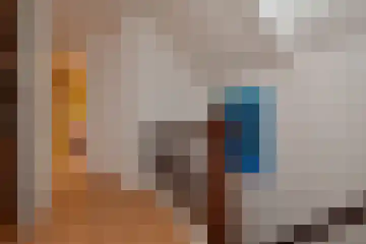 Julialaantje 7 Rijswijk thumbnail 33