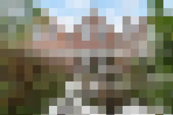 Julialaantje 7 Rijswijk thumbnail 4