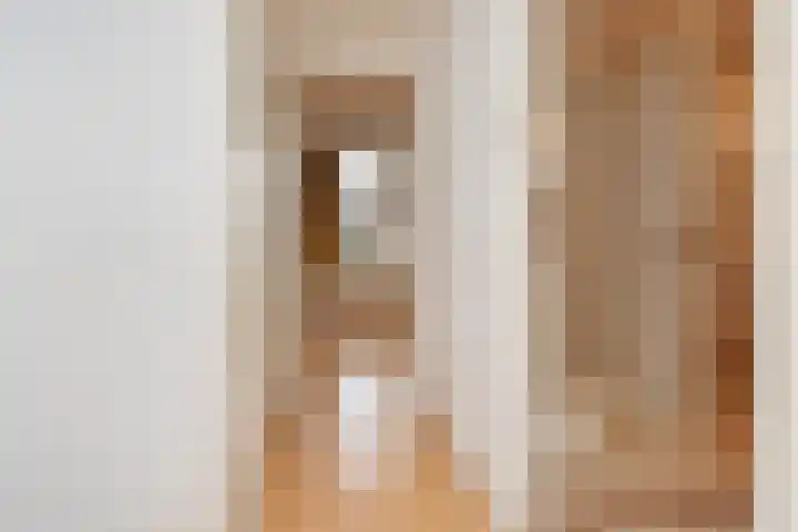 Julialaantje 7 Rijswijk thumbnail 44