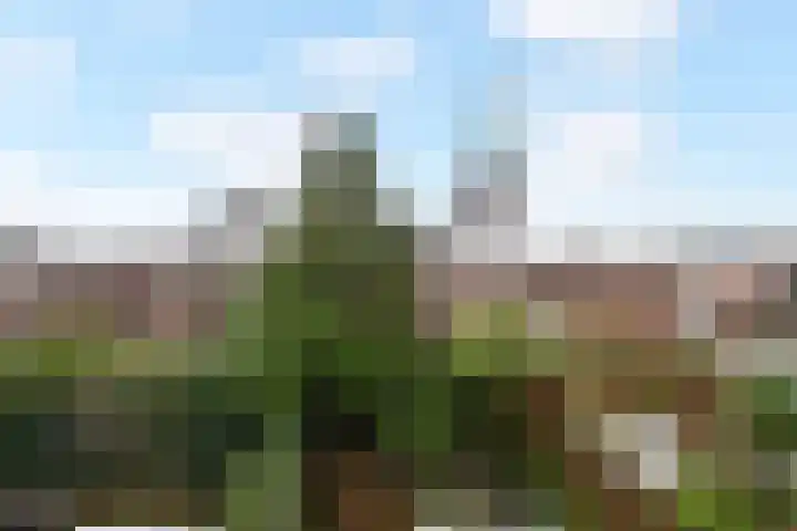 Julialaantje 7 Rijswijk thumbnail 49