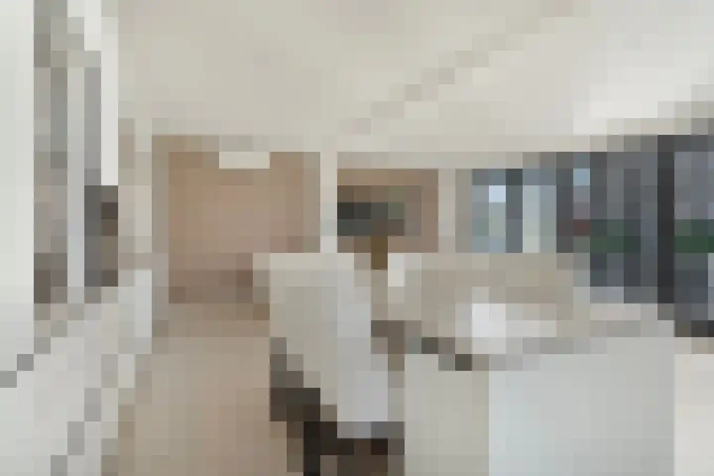 Julian Schwingerstraat 6 Almere thumbnail 20