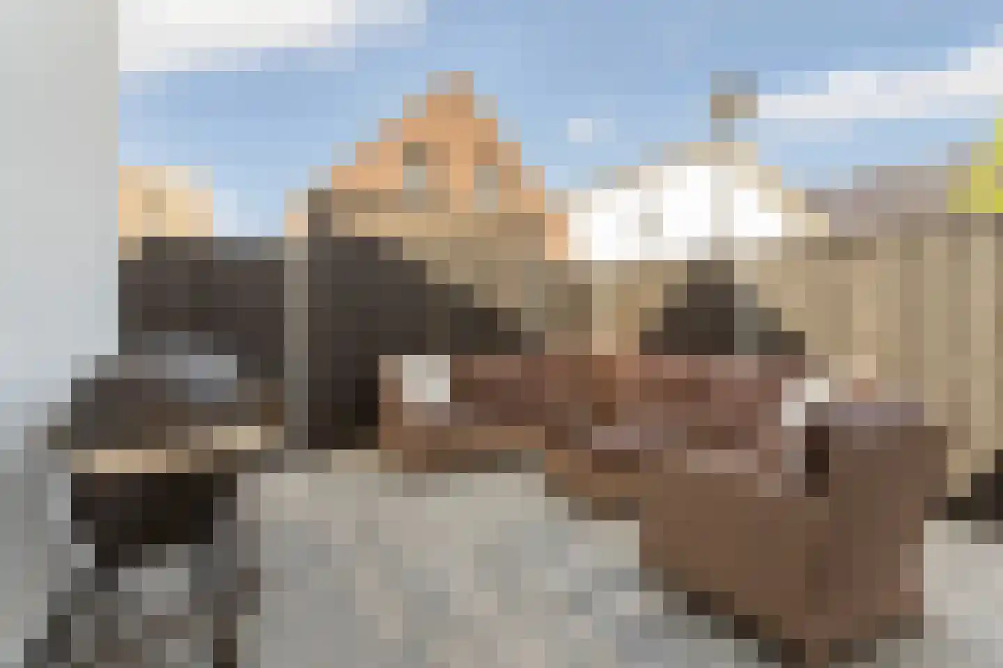 Julian Schwingerstraat 6 Almere thumbnail 32