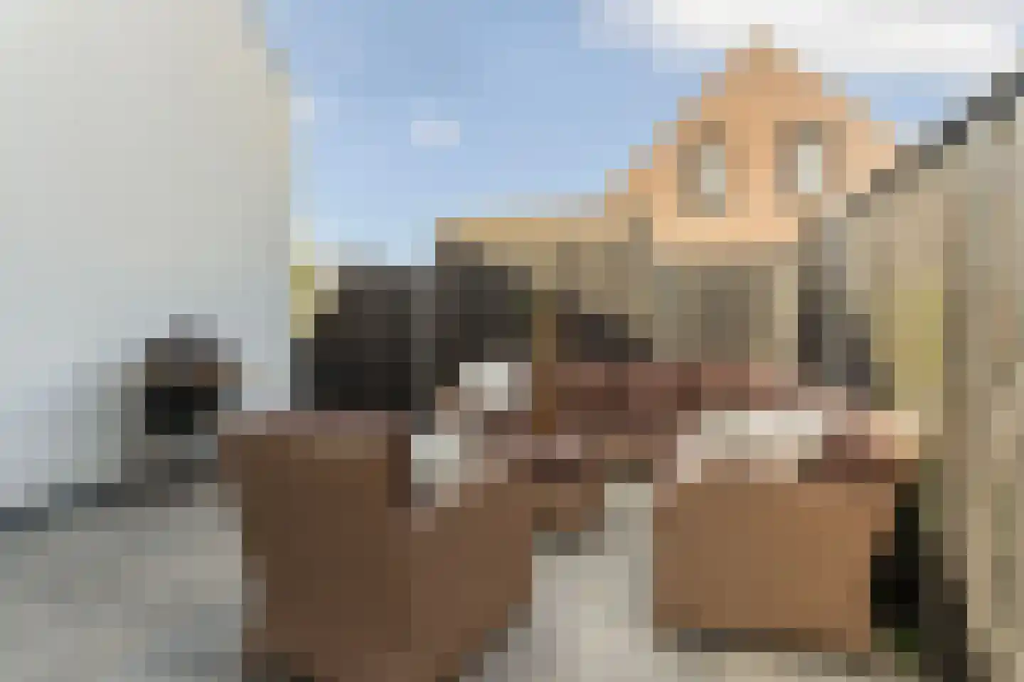 Julian Schwingerstraat 6 Almere thumbnail 33