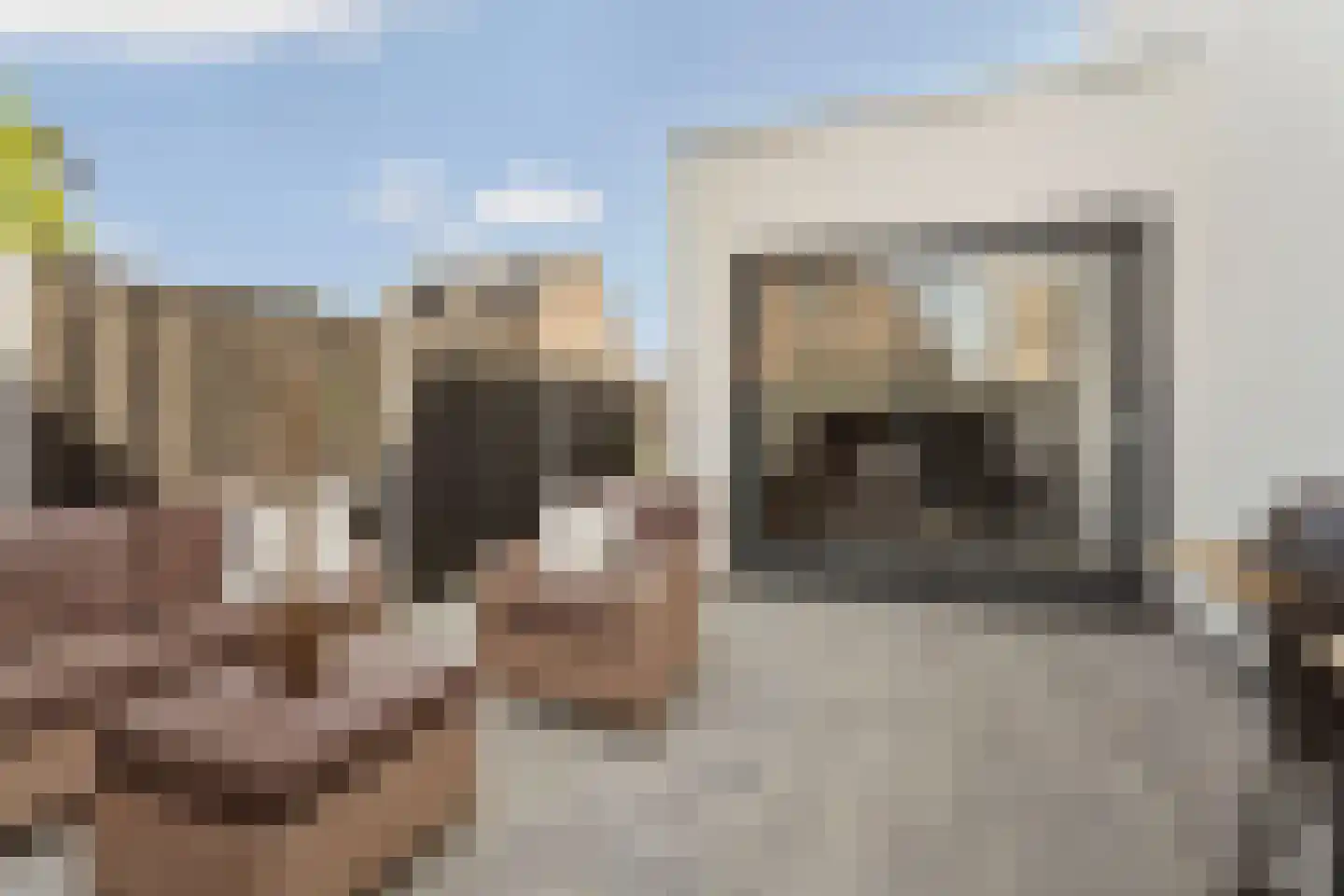 Julian Schwingerstraat 6 Almere thumbnail 34