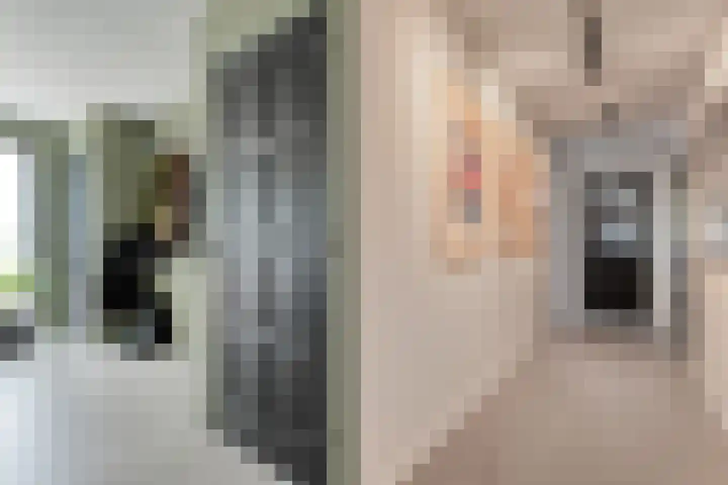 Juliana Bernhardweg 1 b Dwingeloo thumbnail 14