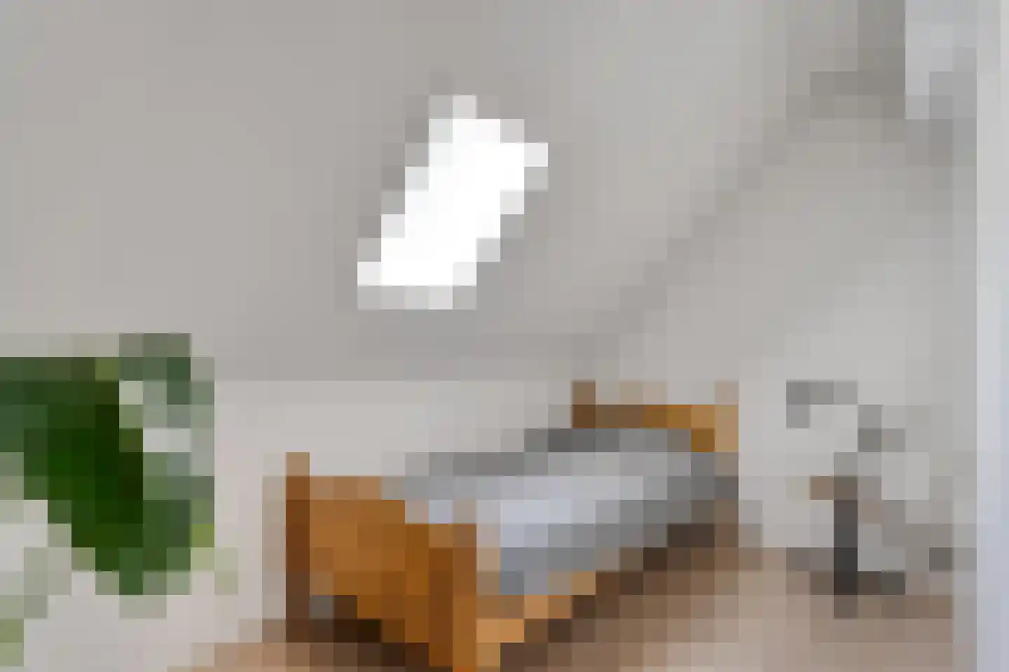 Juliana Bernhardweg 1 b Dwingeloo thumbnail 29