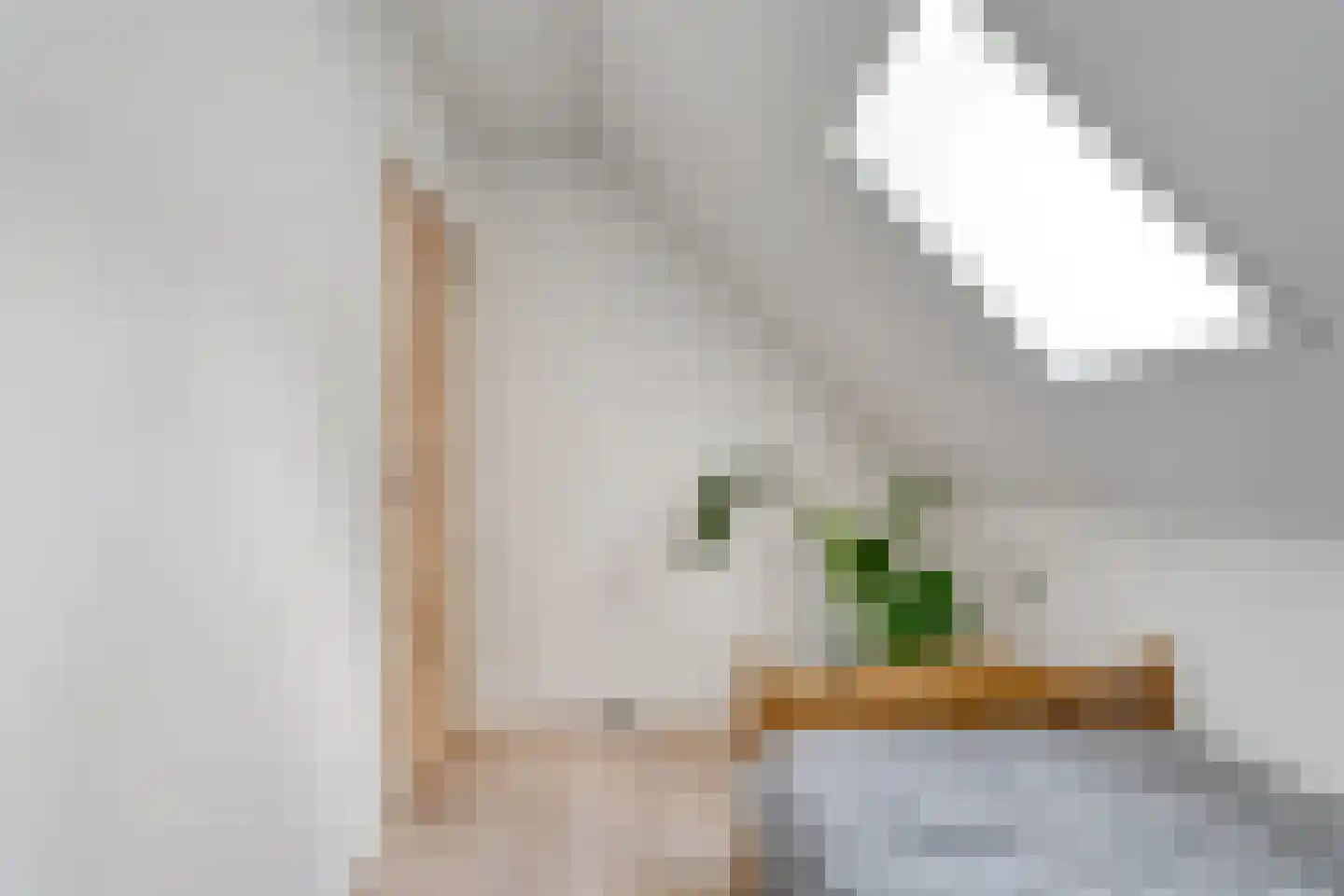 Juliana Bernhardweg 1 b Dwingeloo thumbnail 30