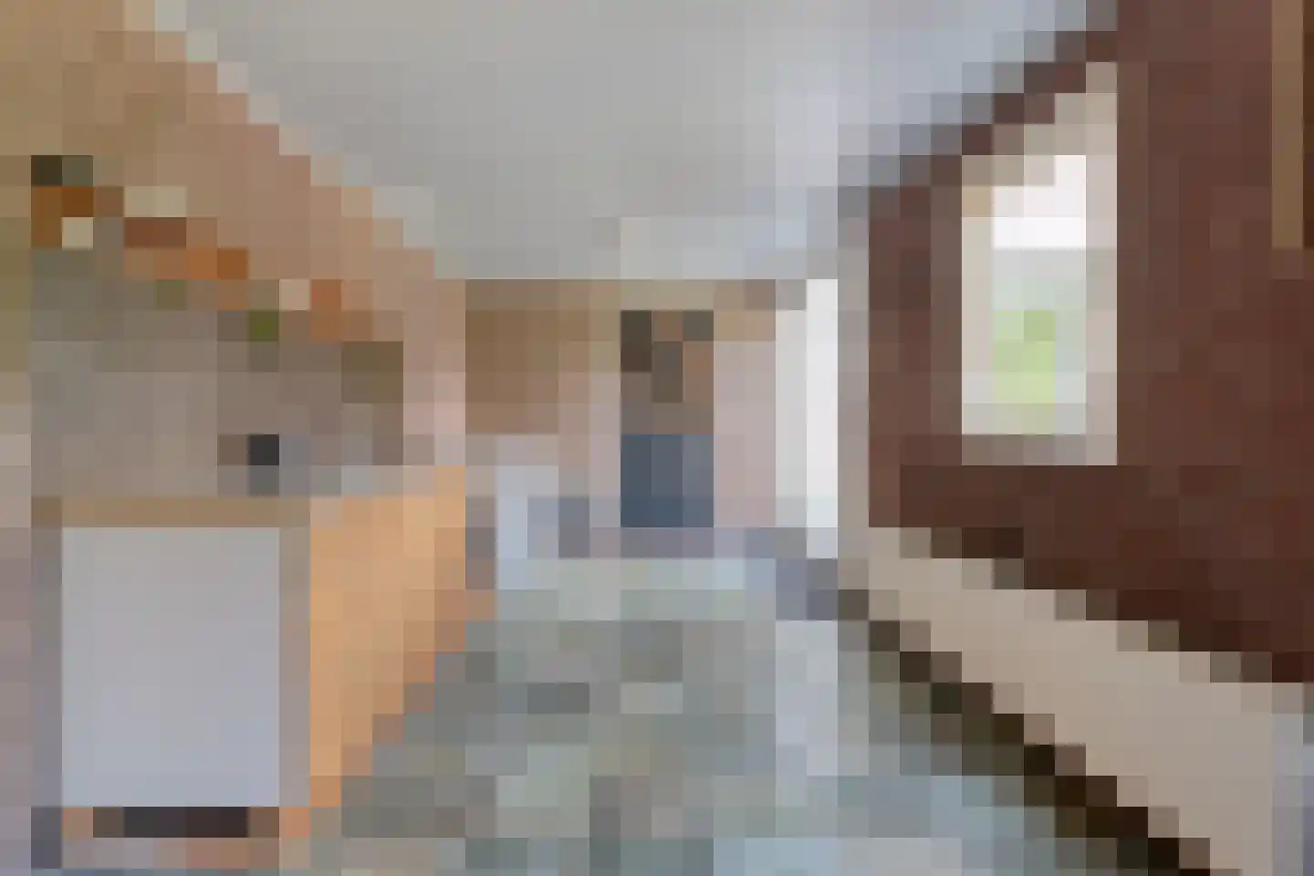 Juliana Bernhardweg 1 b Dwingeloo thumbnail 36