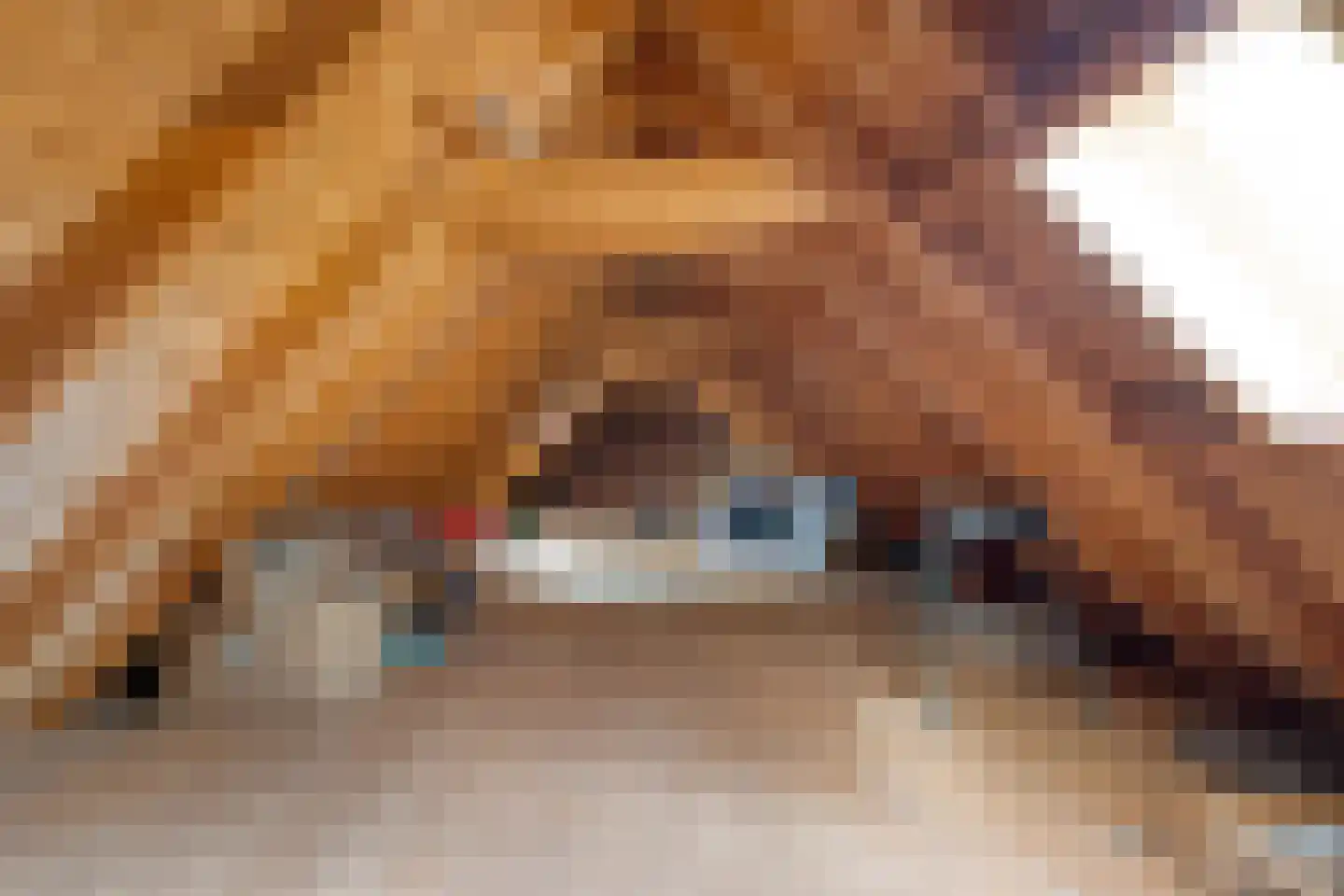Juliana Bernhardweg 1 b Dwingeloo thumbnail 39