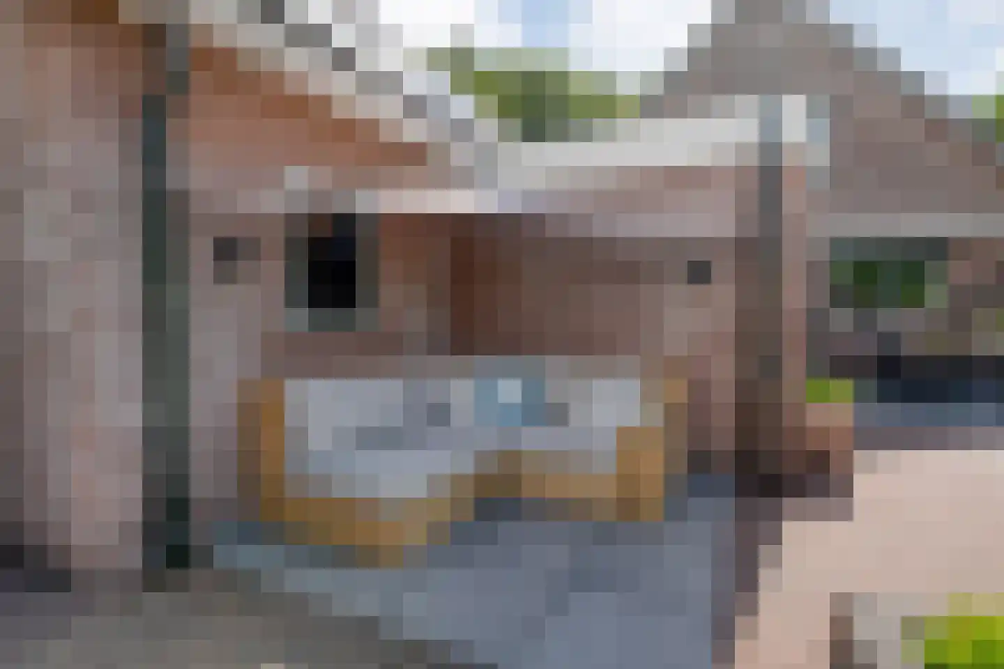 Juliana Bernhardweg 1 b Dwingeloo thumbnail 42