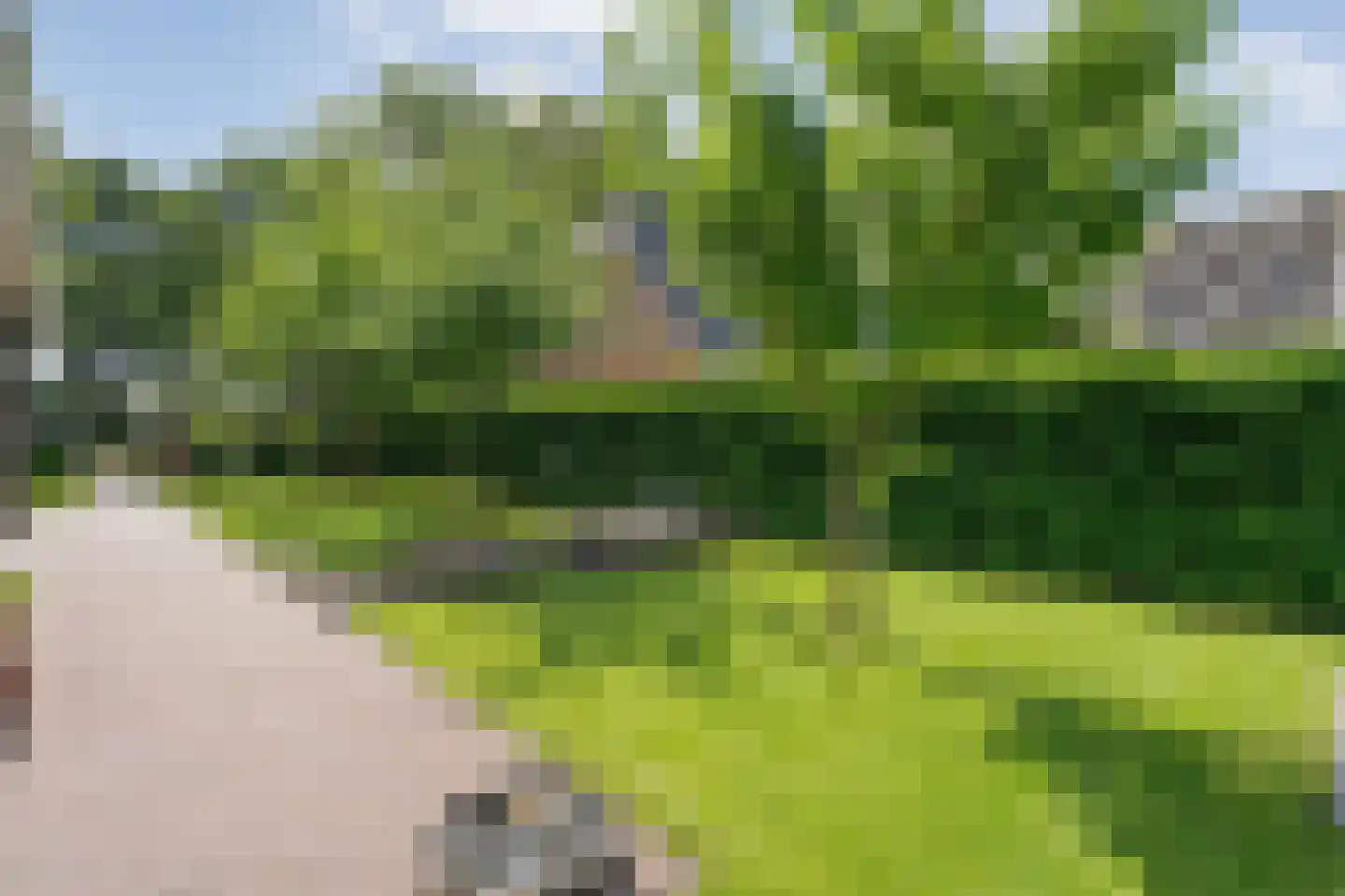 Juliana Bernhardweg 1 b Dwingeloo thumbnail 51