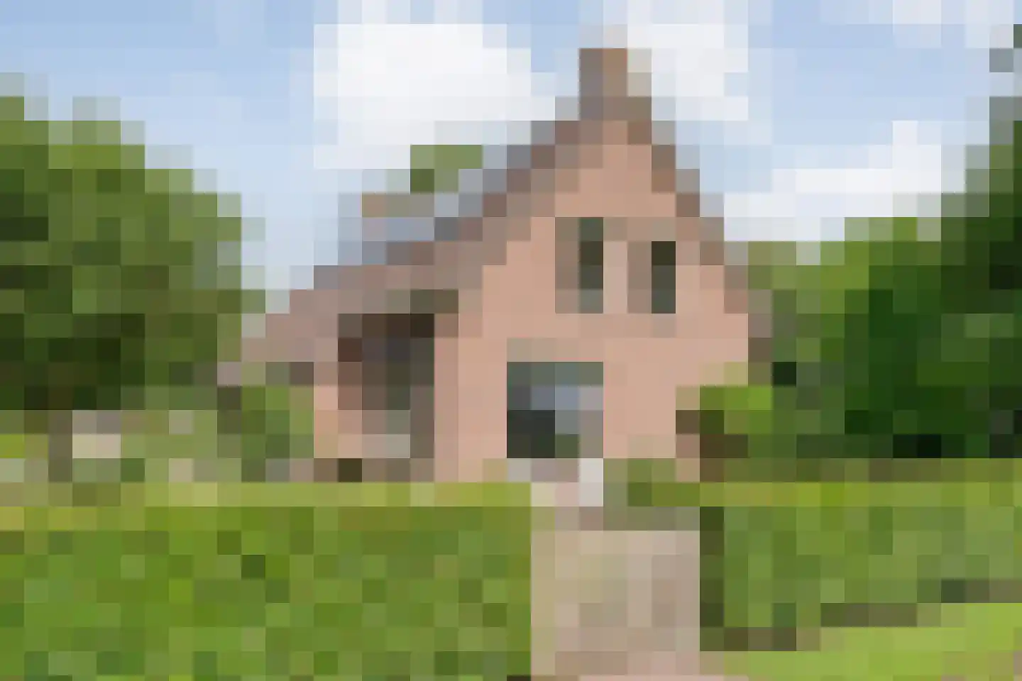 Juliana Bernhardweg 1 b Dwingeloo thumbnail 64