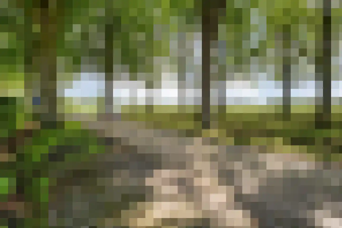 Juliana Bernhardweg 1 b Dwingeloo thumbnail 68