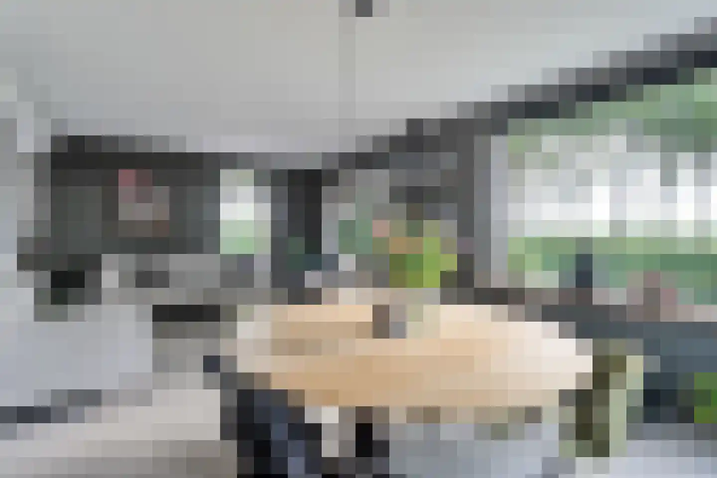 Juliana Bernhardweg 1 b Dwingeloo thumbnail 7