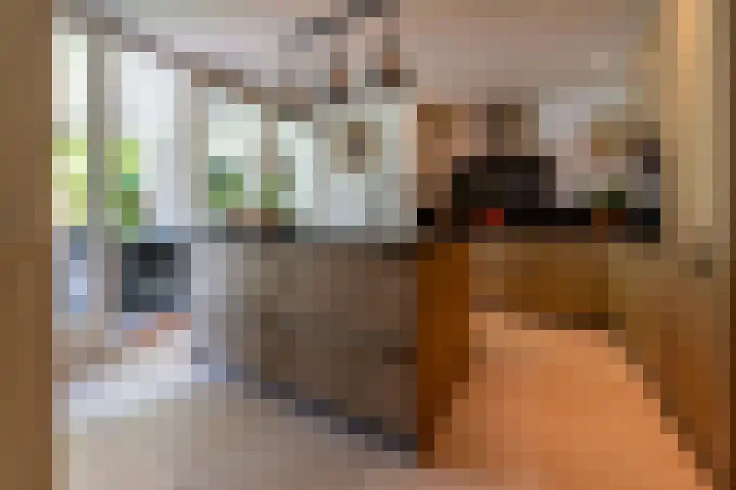 Juliana de Lannoylaan 69 Waalre thumbnail 18