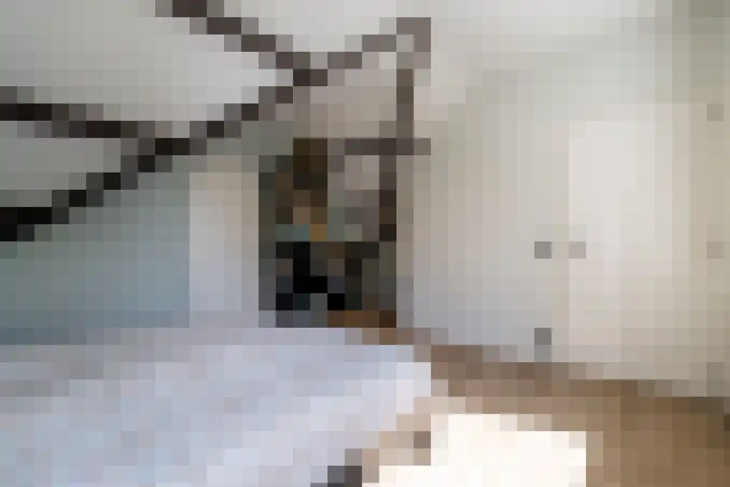 Juliana de Lannoylaan 69 Waalre thumbnail 34
