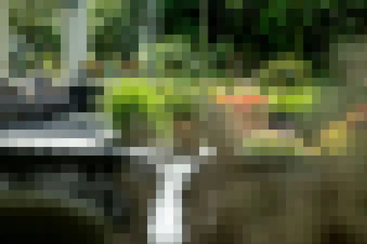 Juliana de Lannoylaan 69 Waalre thumbnail 53