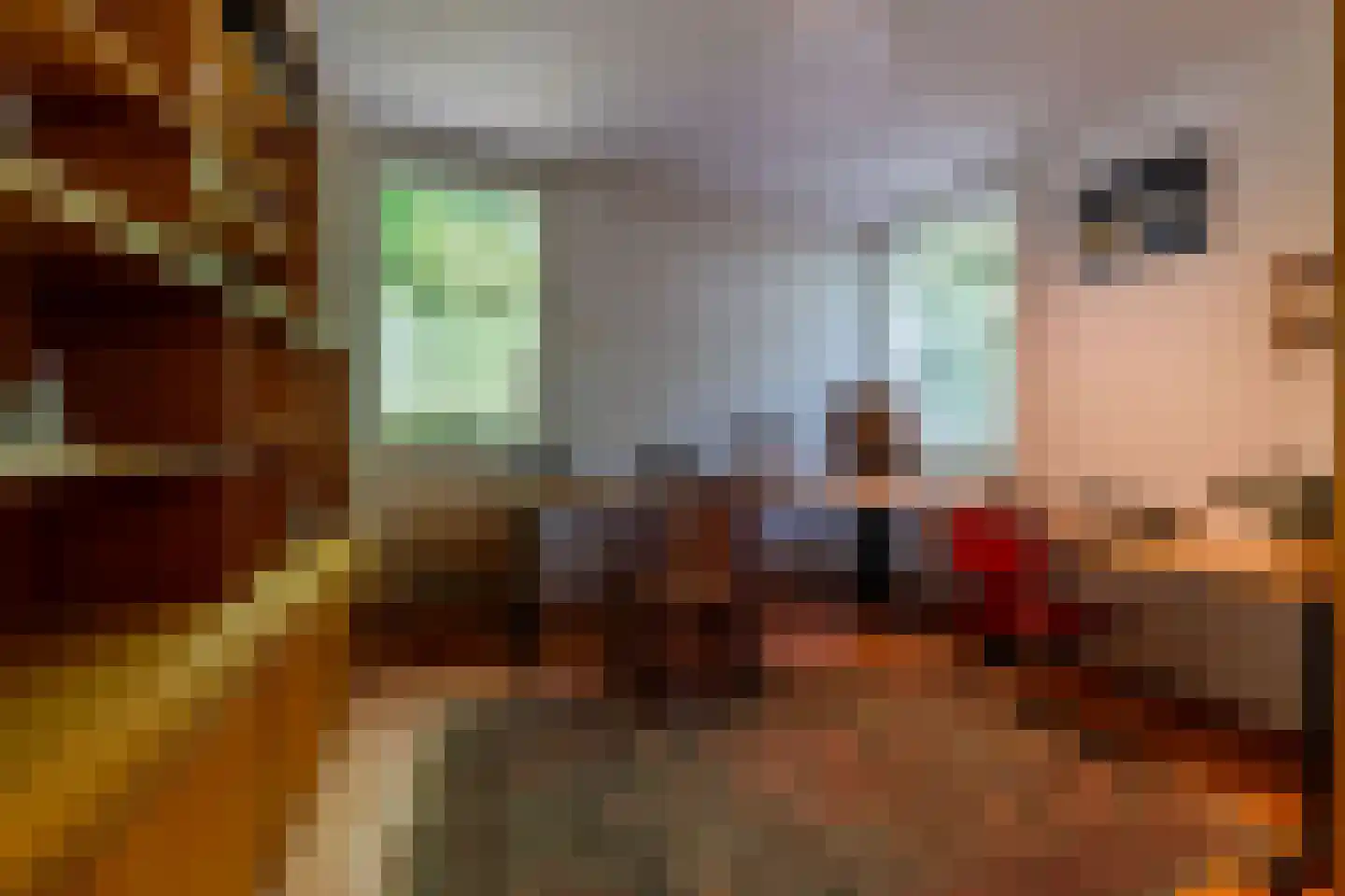 Juliana de Lannoylaan 69 Waalre thumbnail 8