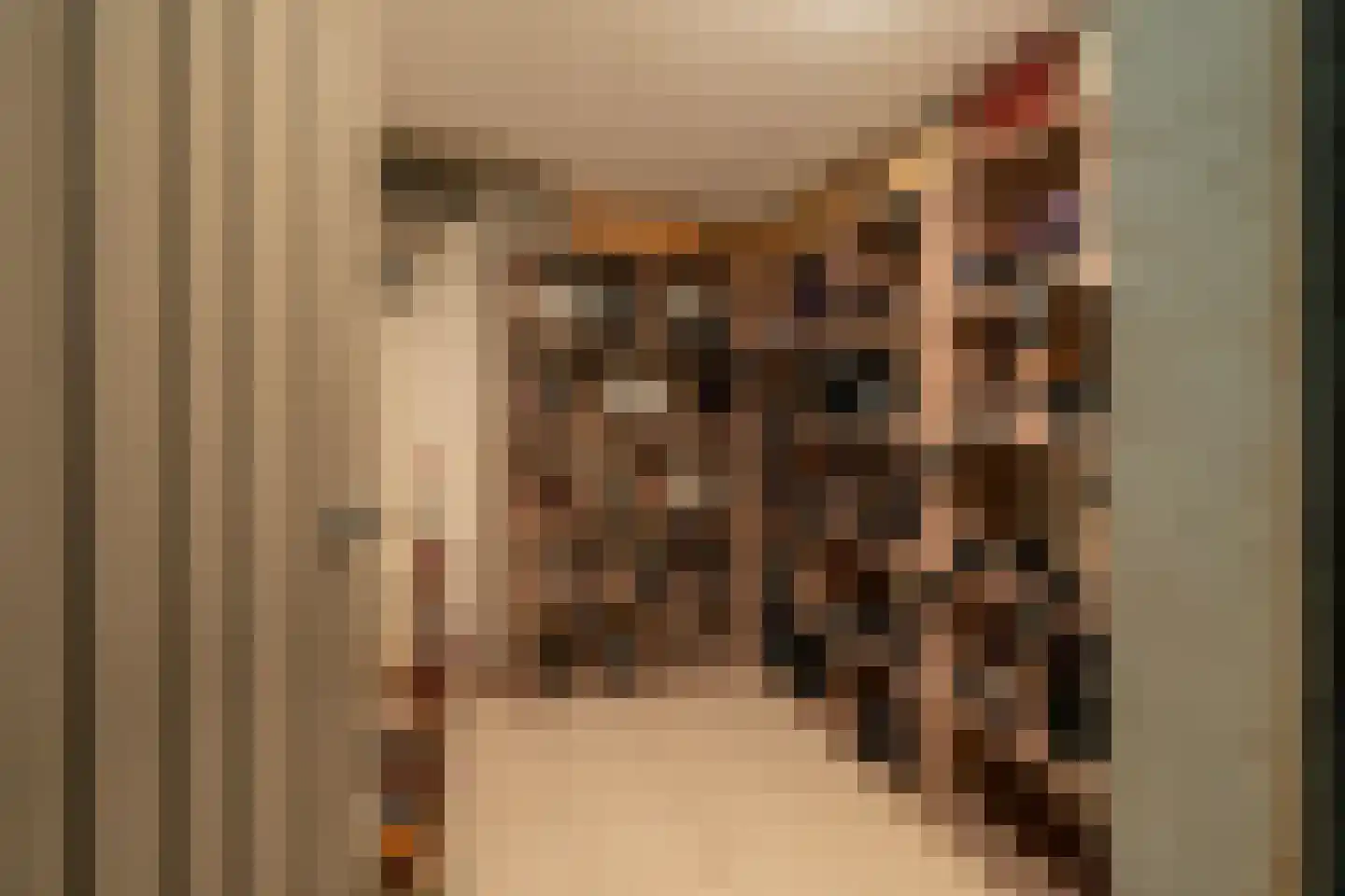 Juliana de Lannoylaan 69 Waalre thumbnail 9