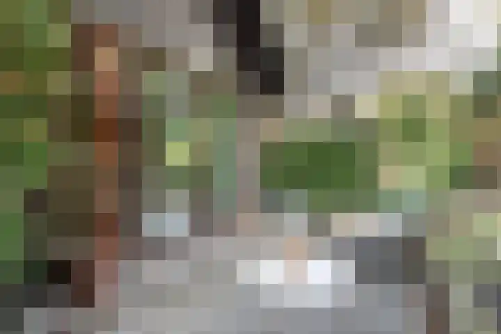 Juliana van Stolberglaan 1 Aerdenhout thumbnail 19