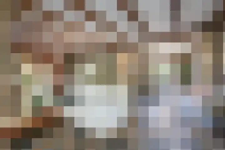 Juliana van Stolberglaan 1 Aerdenhout thumbnail 4