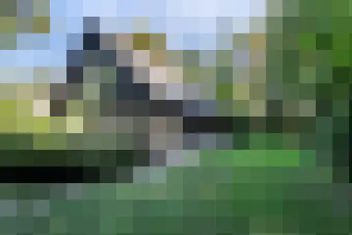 Juliana van Stolberglaan 1 Aerdenhout thumbnail 45