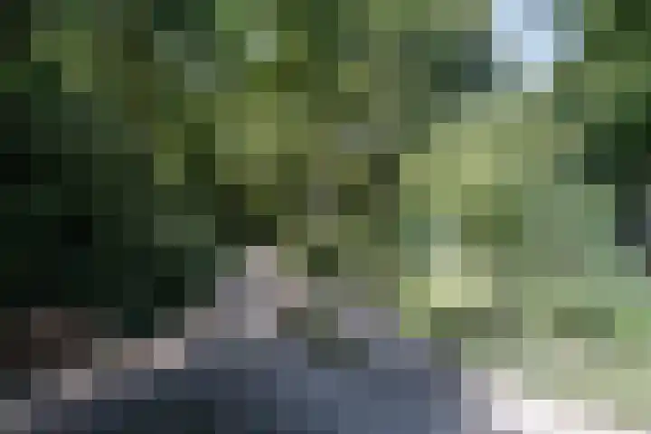 Juliana van Stolberglaan 1 Aerdenhout thumbnail 47