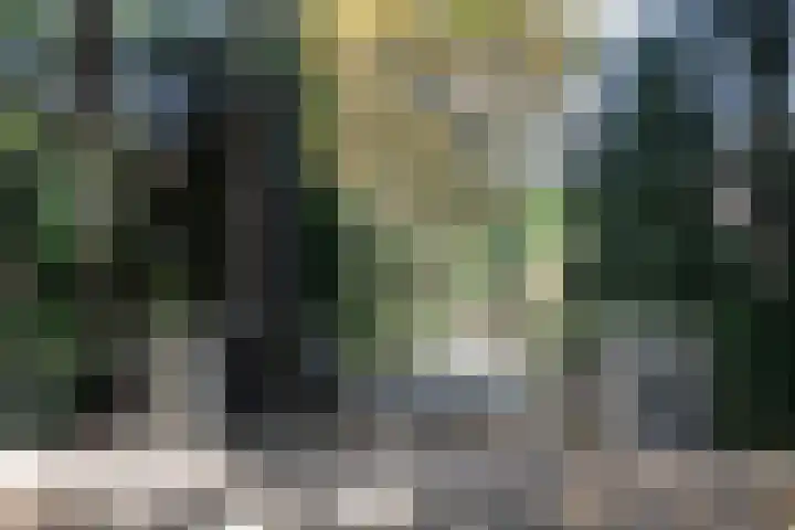 Juliana van Stolberglaan 1 Aerdenhout thumbnail 5