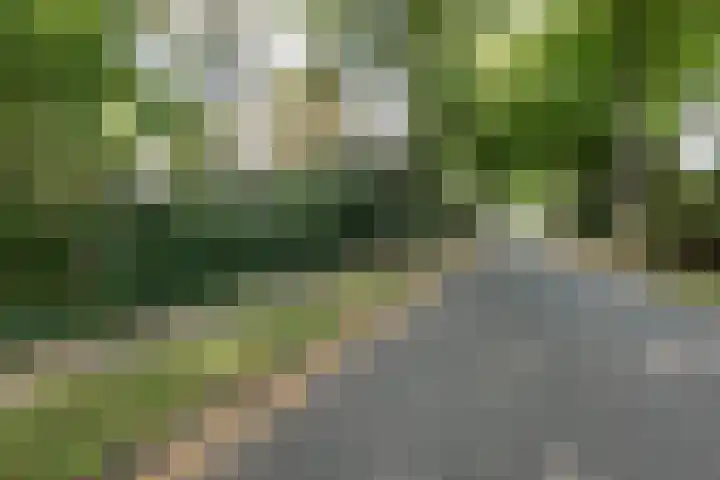 Juliana van Stolberglaan 1 Aerdenhout thumbnail 51