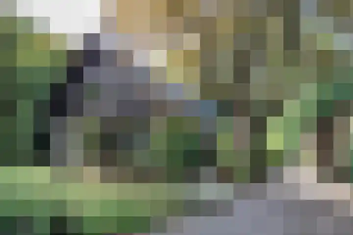 Juliana van Stolberglaan 1 Aerdenhout thumbnail 6