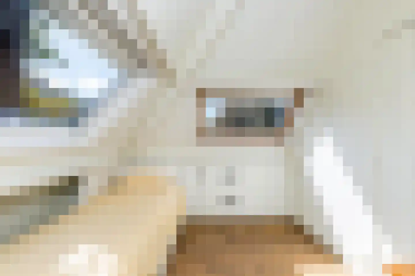 Juliana van Stolberglaan 1 Rotterdam thumbnail 50