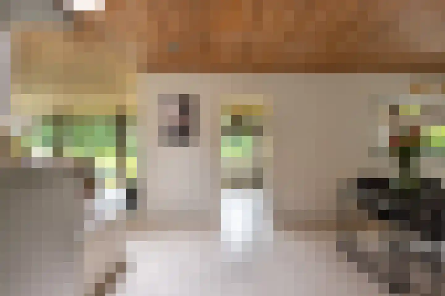 Juliana van Stolberglaan 10 Eerbeek thumbnail 18
