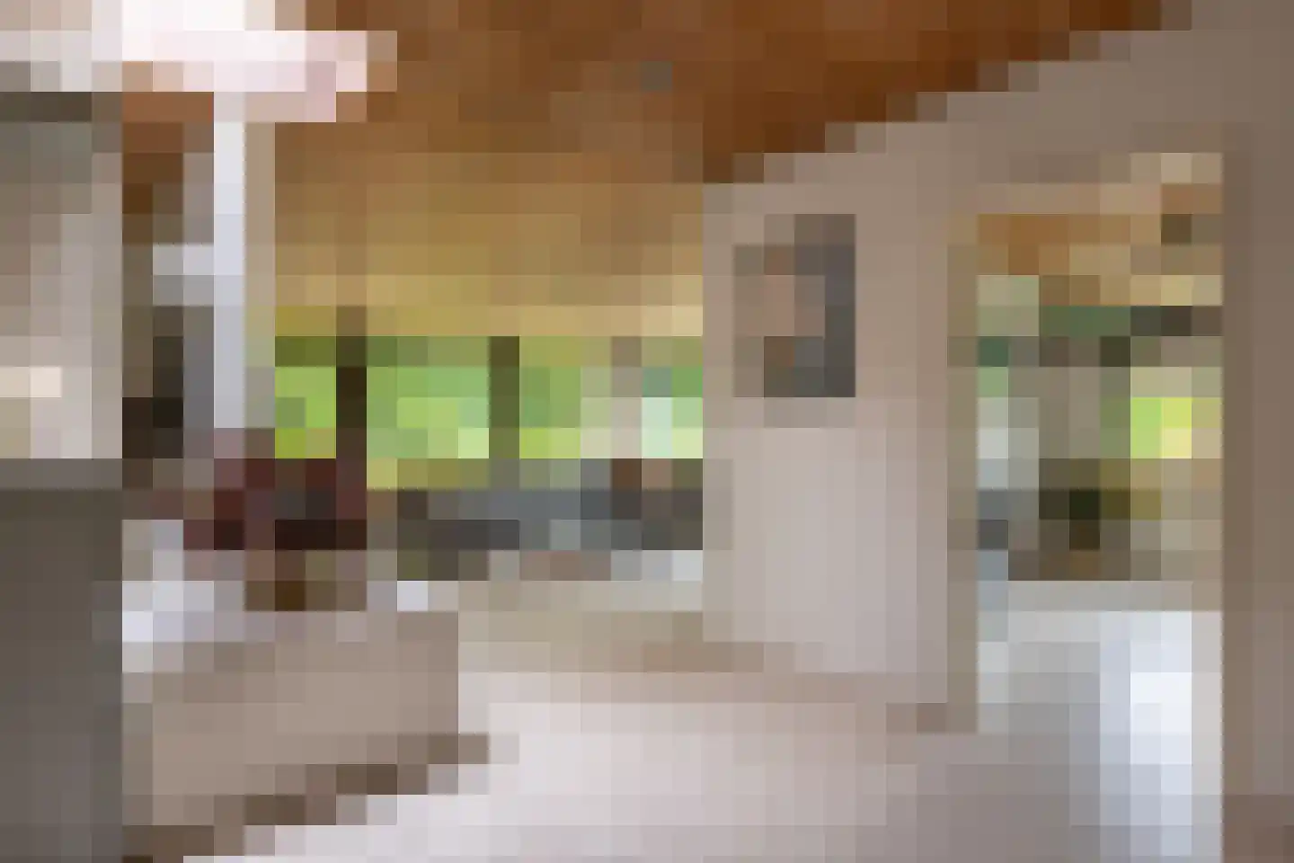 Juliana van Stolberglaan 10 Eerbeek thumbnail 24