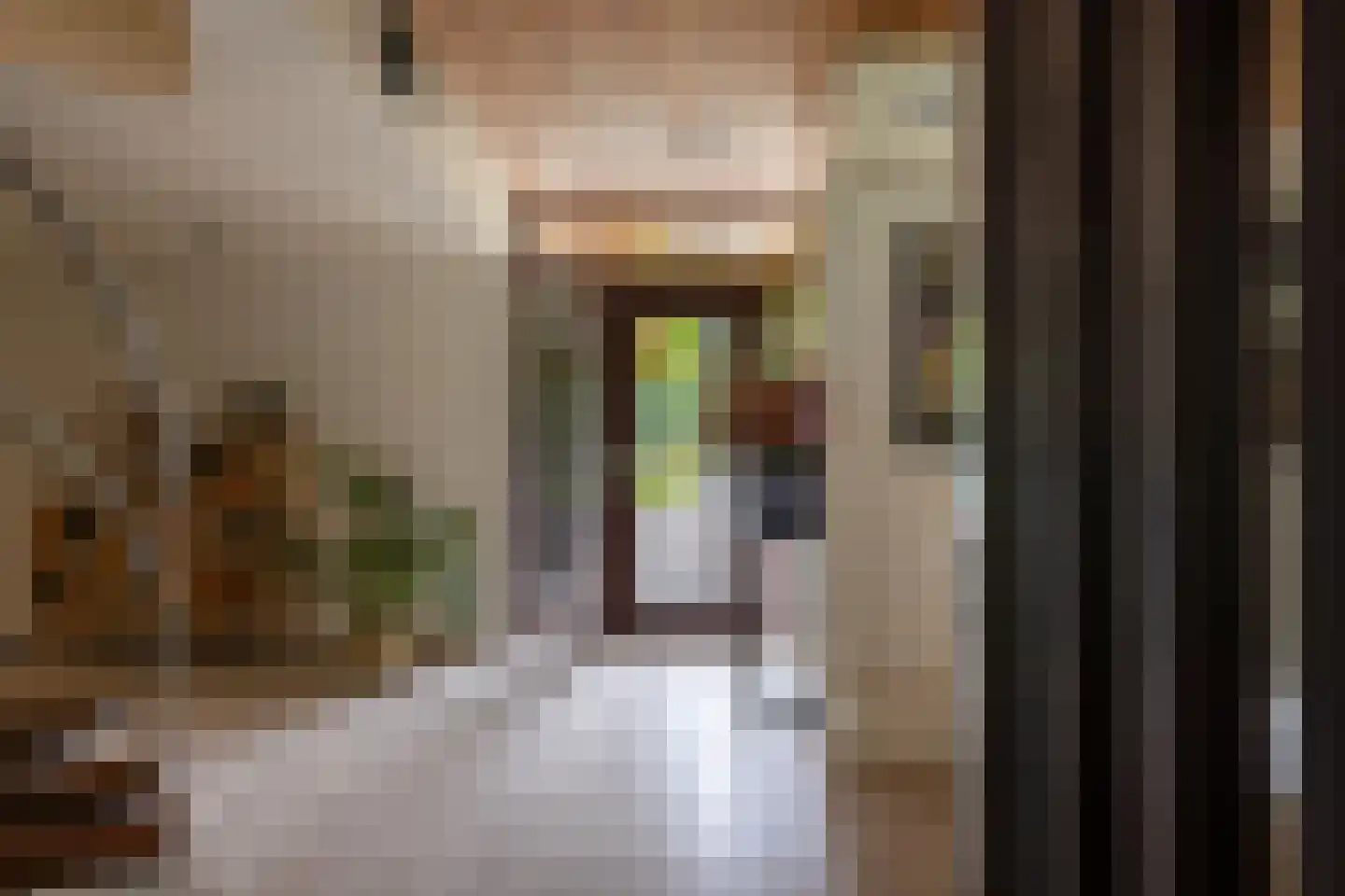 Juliana van Stolberglaan 10 Eerbeek thumbnail 34