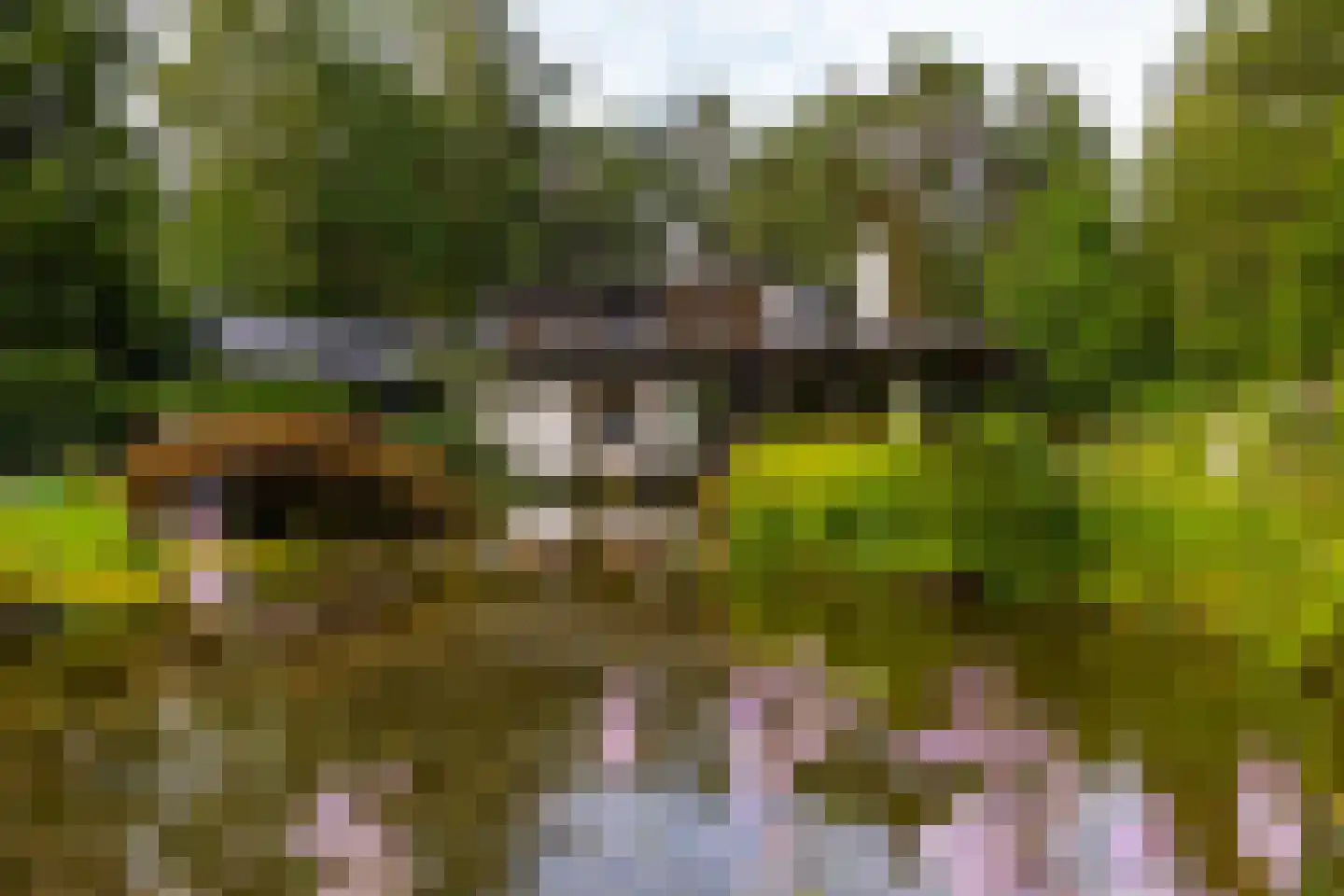 Juliana van Stolberglaan 10 Eerbeek thumbnail 50