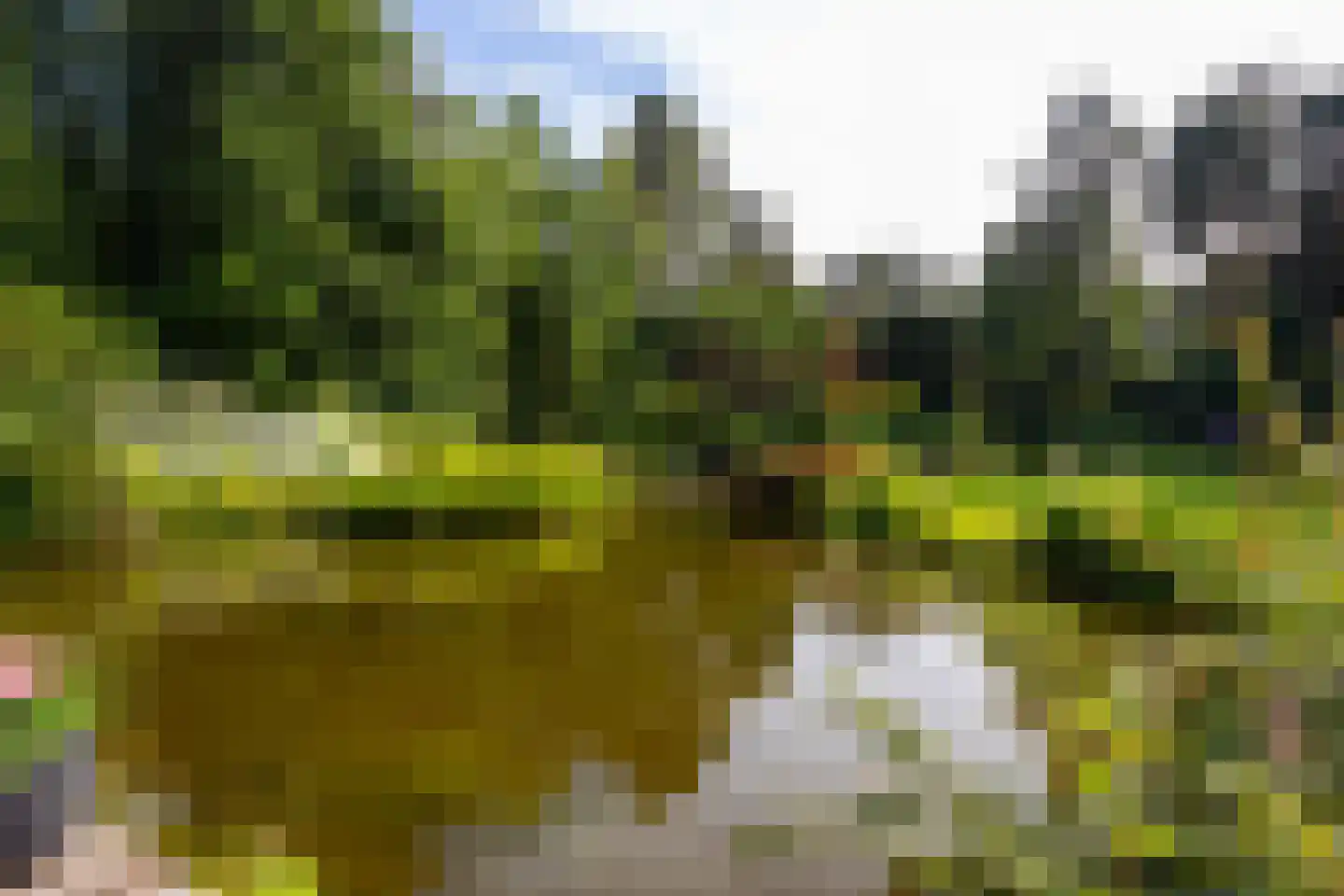 Juliana van Stolberglaan 10 Eerbeek thumbnail 51