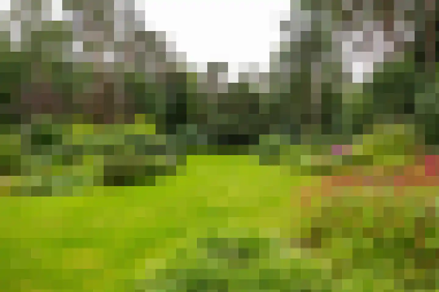 Juliana van Stolberglaan 10 Eerbeek thumbnail 52