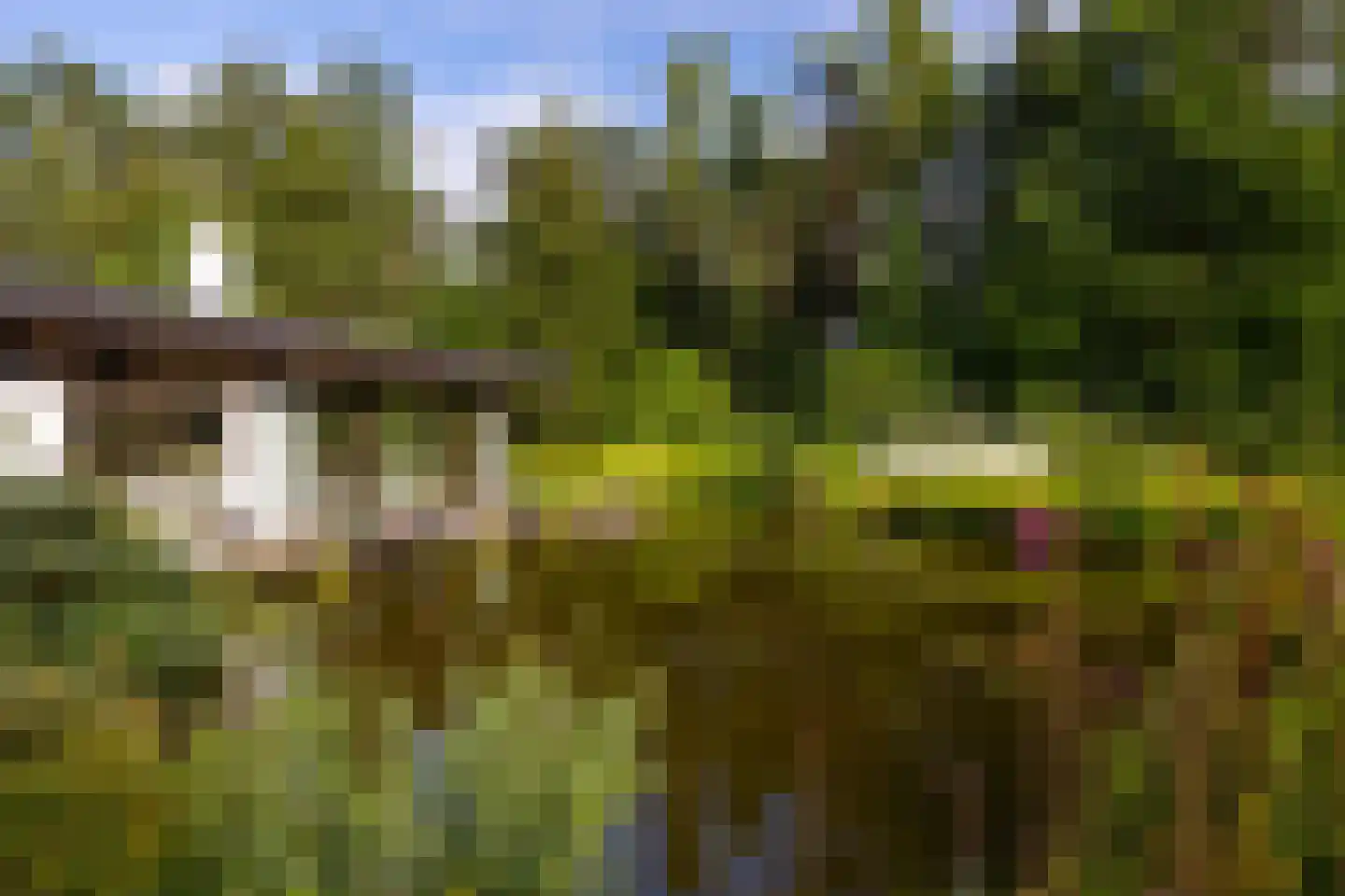 Juliana van Stolberglaan 10 Eerbeek thumbnail 59