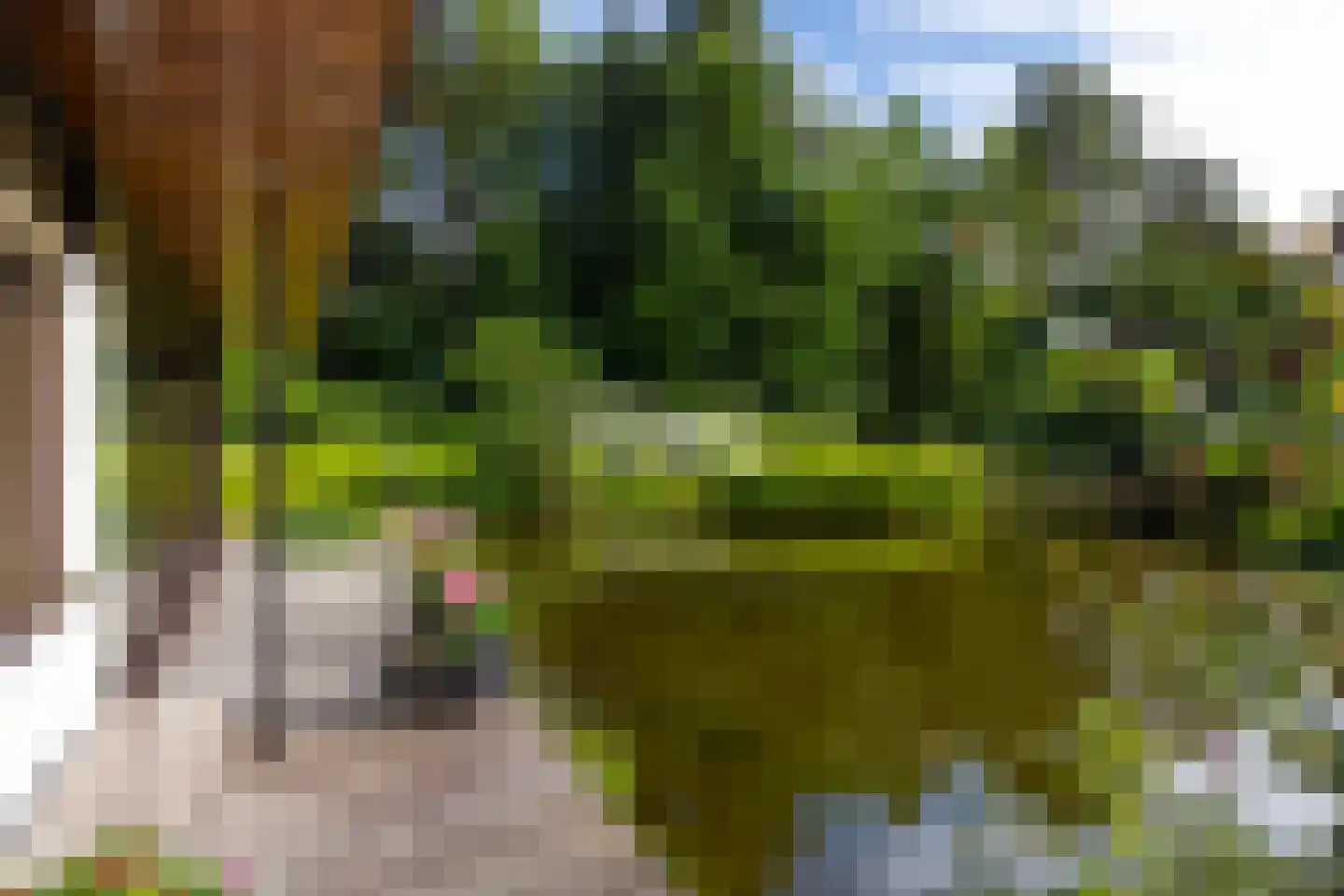 Juliana van Stolberglaan 10 Eerbeek thumbnail 60