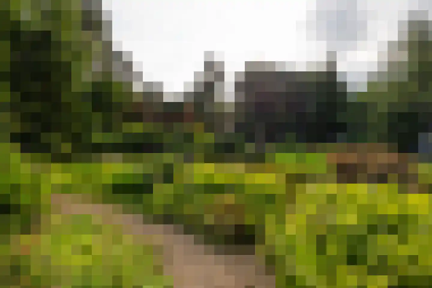 Juliana van Stolberglaan 10 Eerbeek thumbnail 66