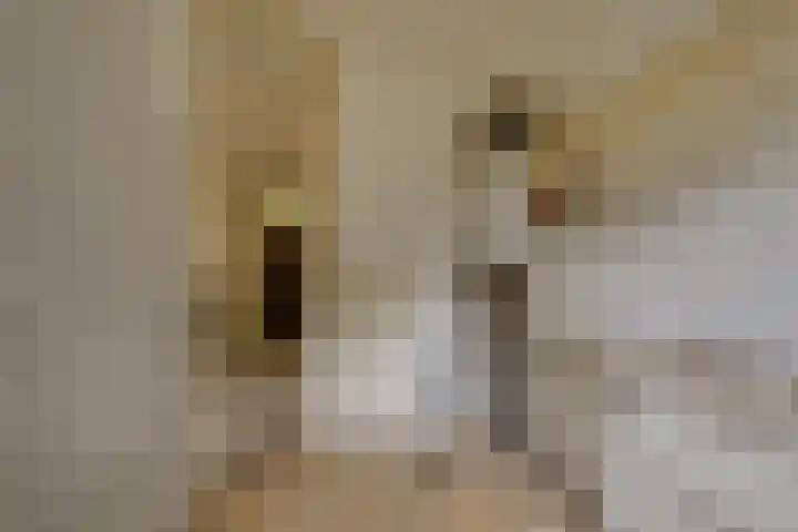 Juliana van Stolberglaan 102 Den Haag thumbnail 10