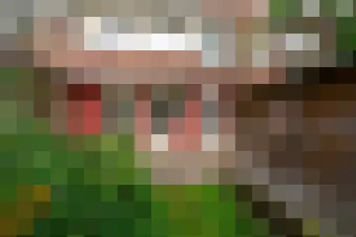 Juliana van Stolberglaan 102 Den Haag thumbnail 16