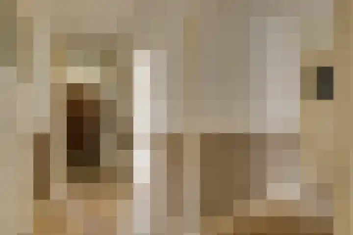 Juliana van Stolberglaan 102 Den Haag thumbnail 7