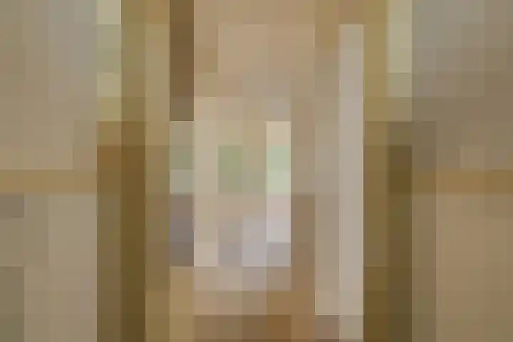 Juliana van Stolberglaan 102 Den Haag thumbnail 8