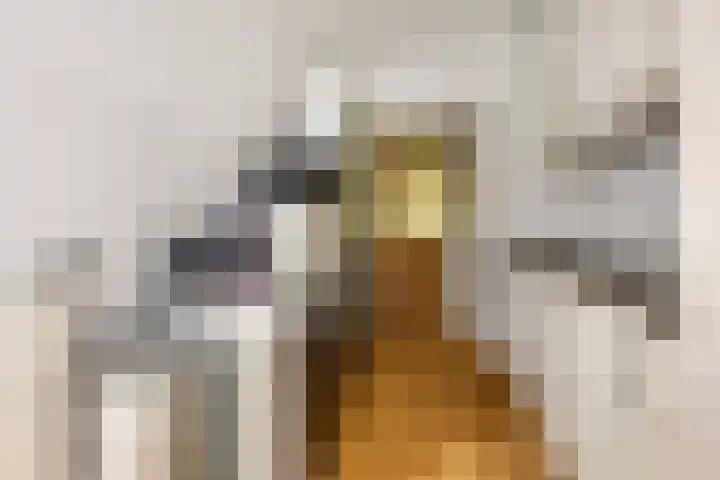 Juliana van Stolberglaan 11 Ede thumbnail 12
